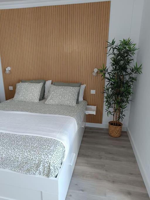 Estudio Girasol Puerto de la Cruz  Zewnętrze zdjęcie